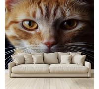 MKBKLI 3D Panoramic Custom Non-Woven Photo Cute Orange Cat Wall Mural 250x175 cm, Warm Art Print for Living Room Bedroom TV Backdrop Hotel Corridor Decor