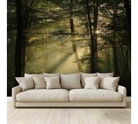 MKBKLI 3D Panoramic Custom Non-Woven Photo Forest Morning Light Wall Mural 300x210 cm, Warm Art Print for Living Room Bedroom TV Backdrop Hotel Corridor Decor