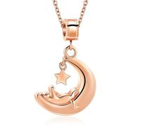 MKJFRLLSA Cat Cremation Jewelry Moon Star Urn Necklace for Ashes Stainless Steel Ashes Pendant for Pet Human Keepsake Memorial for Jewelry