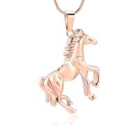 MKJFRLLSA Cremation Jewelry Horse Urn Necklace for Ashes Stainless Steel Ashes Pendant Keepsake Memorial for Necklace for Men Women