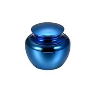 MKJFRLLSA Cremation Urn Pet/Human Ashes Urn Memorial Cremation Keepsake Funeral Casket Ash Holder Urns