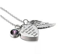 MKJFRLLSA God has You in his arms with Angel Wing Charm Cremation Ashes Jewelry Keepsake Memorial Urn Necklace with Birthstone Crystal