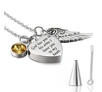 MKJFRLLSA God has You in his arms with Angel Wing Charm Cremation Ashes Jewelry Keepsake Memorial Urn Necklace with Birthstone Crystal