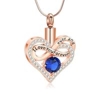 MKJFRLLSA Heart Urn Necklace for Ashes for Women Love Memorial Pendant Cremation Jewelry Human Pet Ashes Holder Keepsake