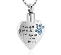 MKJFRLLSA No Longer by My Side,But Forever in My Heart Carved Locket Cremation Urn Necklace for Pet Dog Cats