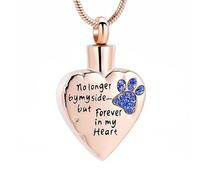 MKJFRLLSA No Longer By My Side But Forever In My Heart Cremation Jewelry For Ashes Stainless Steel Pet Paw Keepsake Memorial Urn Necklaces