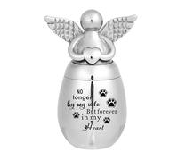 MKJFRLLSA Small Keepsake Urns for Human Ashes Stainless Steel Angel Wings Heart Cremation Memorial Urns for Ashes Jewelry