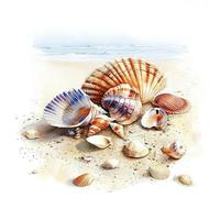 MKJFRLLSA Watercolor Seashells 2 Self-Adhesive Toilet Stickers,Wall Decal Removable, Reusable Vinyl Car Sticker for Bathroom Decor
