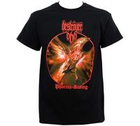 MKJHYVBFDXZ Destroyer 666 Men's Phoenix Rising T Shirt Black(3X-Large)