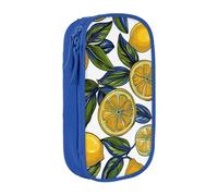 MKNAZ Lemon Fruit Pattern Printed Pencil Case Pen Bag Double-Layer Pen Pouch Organizer for Student Artists School Office College, Blue
