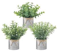 Mkono Mini Fake Plants in Farmhouse Galvanized Metal Pots 3 Pack Small Potted Artificial Plant Eucalyptus for Laundry Room Bathroom Shelf Table Decor