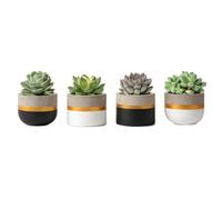 Mkouo 8cm Cement Plant Pots Indoor Succulent Planter Modern Concrete Cactus Flower Pot Small Clay Indoor Herb Window Box Container for Home and Office