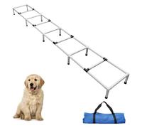 MKSY Dogs Agility Training Ladder