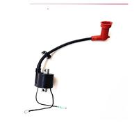 MKVAXR Boat Motor Ignition Coil B, for Parsun, HDX 2- Stroke 40CV T40 T40BM T40BW T40G T30BM 2 Temps G Type Green T40-05090102 Marine Ignition Switch