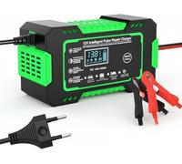 MKWGZPGW 12V 6A Car and Motorcycle Intelligent Battery Charger for C Evolution 2018, with Temperature Compensation, LCD screen, Repair Mode,Green