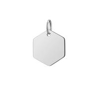 MLEJICLZD 10-pack pet pendants, customizable with engraving, anti-loss tags, eco-friendly, wear-resistant, waterproof(Silver,38X34X1.7mm)