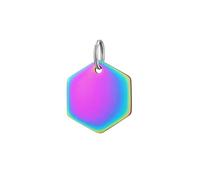 MLEJICLZD 10-pack pet pendants, customizable with engraving, anti-loss tags, eco-friendly, wear-resistant, waterproof(Colorful,30X26X1.7mm)