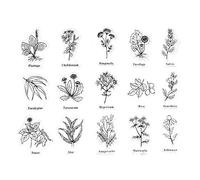 Mllepjdh Leaves Transparent Silicone Clear Rubber Stamp Cling Diary Scrapbooking Clear Stamp Block Small