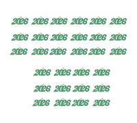 [Mllepjdh] Memorable 2026 Alloy Year Necklace Pendant Durable Design Anniversary Birthday Comfortable Jewelry Accessories Student Pendant, フリーサイズ