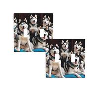 MLMNBVC 2 Pack Light Switch Cover Plate 2 Gang Toggle Switch Covers Decorative Wall Plates 4.5 x 4.5 in, New Apartment Essentials Home Decor Housewarming Gift - Lovely husky, Standard Size