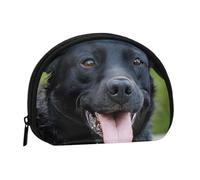 Mlmnbvc Change Purse Travel Pocket Coin Purse Small Wallet Zipper Pouches for Money Card Key Lipstick - rottweiler wallpaper, Black, Black, One Size, Modern
