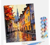 MLNMENG Paint by Numbers for Adults DIY Painting by Numbers Kits with Acrylic Paints Pre Printed Canvas and Brushes Gift Wall Decor 16x20 inch with frameColorful Streets and Alleys After The rain