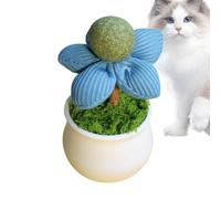 MLqkpwy Catnip Interactive Cat Toy - Flower Pot Cat Nip Toys - For Indoor Kitten, Entertainment, Lick Safe Healthy Pet Feed Supplies For Play, Safe Materials, Organic