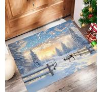 MLSOWM Door Mat Indoor Forest Reindeer Washable Thin Door Mats Winter Wonderland Non Slip Inside Doormat Low Profile Entrance Rugs for Back & Front Door, Patios - 60 x 120 cm -, Light Blue