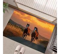 MLSOWM Galloping Horses Indoor Door Mat, 90 x 150 cm Non-Slip Washable Rug Romantic Fields Low-Profile Inside Doormats for Porch Insider, Bedroom, Entryway, Accent Rug, Orange