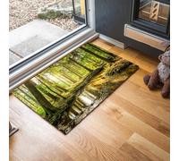 MLSOWM Sunlight Bathes The Forest Thin Door Mats Indoor 50 x 80 cm, Non Slip Front Mat, Forest Stream Low Profile Inside Entrance Rug, Easy to Clean for Entryway Bedroom Kitchen, Emerald Green