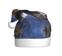 MLTRFGJ Flying Eagle Printed Adult Holiday Christmas Hats, Festive Party Supplies For Christmas And New Year