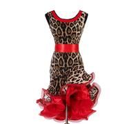 MLYYX Leopard Print Latin Dress Wave point Ballroom Dance Dress for Women Performance Dancewear for Samba Cha Cha,Leopard Print,M