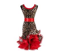 MLYYX Leopard Printed Latin Dance Dress Ballroom Dance Costume for Women Training Dancewear for Samba Cha Cha Salsa,Leopard Print,L