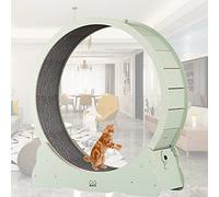 MLYYYDSS Cat Running Wheel Cat Wheel,Cat Toys,Kitten Toys, Indoor Cat Toys CAT Exercise Wheel Locking Mechanism, TPE Silent and Noiseless Rollers,L-Green