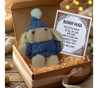 mmfLyuLD Mini Bunny Hug Cute Easter Gift,Mini Bunnies, Minis Rabbits in Box,2026 Neu Positive Easter Bunny Plush Toy,Osterhasen Deko with Knitted Hat Easter Pocket Hugs Rabbit Emotional Gift (NY)