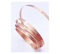 MMLFX 1pc 1M 0.1mm 0.2x14mm 0.3mm 5mm 8mm 10mm 20mm Pure T2 Copper Strip Strap Sheet For Lithium Battery Electric Vehicle Battery Assembly (Size : 0.2x10mm)