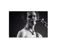 MMMU Punk Rock Sid Vicious poster Decorative Painting Canvas Wall Art Picture Print Living Room Bedroom Aesthetic posters 12x18inch(30x45cm)