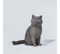 MMOS X JXK 1/6 British Shorthair Cat Healing Statue Realistic Felidae Animal Model Home Decoration Birthday Gift for Cat Lovers