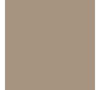 MMP-006 Mission Models - Light Neutral Tan 30ml