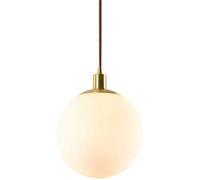 MMRTDJDR Bracket Light Glass Pendant Light, Adjustable Hanging Pedant Lights Fixture with 1-Light Flush Mount Ceiling Swag Lighting for Kitchen Dining Room, E27 Base Stainless Steel Bracket Light,30