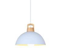 MMRTDJDR Nordic Style Metal Chandelier,Creative Colorful Hanging Lamp Shade,E27 Base Single Head Pendent Light,Dining Room And Living Room Ceiling Decoration Lighting Fixtures