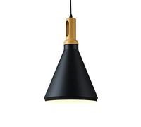 MMRTDJDR Traditional Modern Simple Single Head Small Pendant Lights Chandelier Fashion Creative Bar Counter Restaurant Hotel Clothing Living Room Cafe Hanging Light Ceiling Lamp Fixtures Color : ER026
