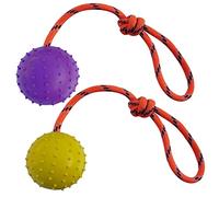 MMSGA 2 Pcs Ball on Rope Dog Toy,Hollow Rubber Ball on rope dog training,for Fetch, Catch, Throw and Tug of War,Not Suitable for Strong Chewing Power Dog (S, Purple+Yellow)
