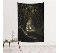 MMSJSBVY Dark Path Decorative Tapestry 60x40in, Wall Art Wall Covering, Suitable As A Bedhead Backdrop, Beach Towel, Or Tablecloth