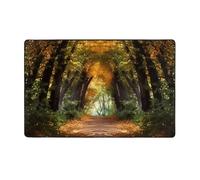 MMSJSBVY Pathway In The Woods Covered Flannel Floor Mat 60x39 Inches - Soft, Non-Slip, Absorbent Memory Foam Carpet, Suitable For Living Rooms/Bedrooms/Offices -Washable Floor Mat