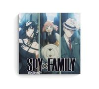 MNABSO Animated Spy × Family Fan Classic Art Wall Art Picture Print Modern Family Room Decor 24 x 24 Inches (60 x 60 cm)