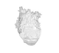 Mnaocz Heart Vase, Clear Anatomical Heart Shaped Flower Pot Vase Decor Ornaments Gift for Living Room Bedroom (Transparent M)