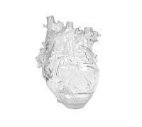 Mnaocz Heart Vase, Clear Anatomical Heart Shaped Flower Pot Vase Decor Ornaments Gift for Living Room Bedroom (Transparent L)