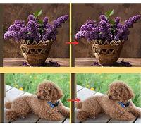 mnbhj Personalized oil painting Photo Custom Paint By Numbers For Adults Kids Beginner,record beautiful moments,With paint and brush,Birthday gift and home decoration 30 * 40CM(Frameless)