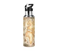 Mnsruu 20 Oz Water Bottle with Straw Vintage Ancient World Map Stainless Steel Water Bottle for Traveling Sports Leakproof Insulated Water Bottle
